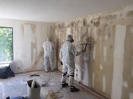 Best Mold Documentation for Insurance Claims in Village Green, NY